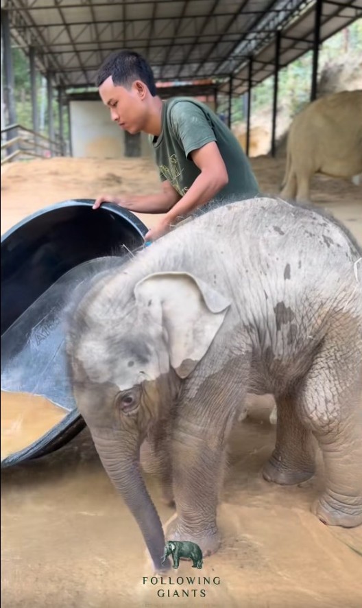 Monty with caretaker
